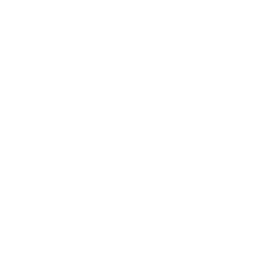 Protection de la carrosserie